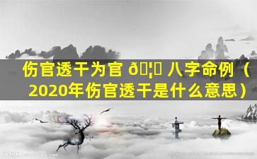 伤官透干为官 🦆 八字命例（2020年伤官透干是什么意思）